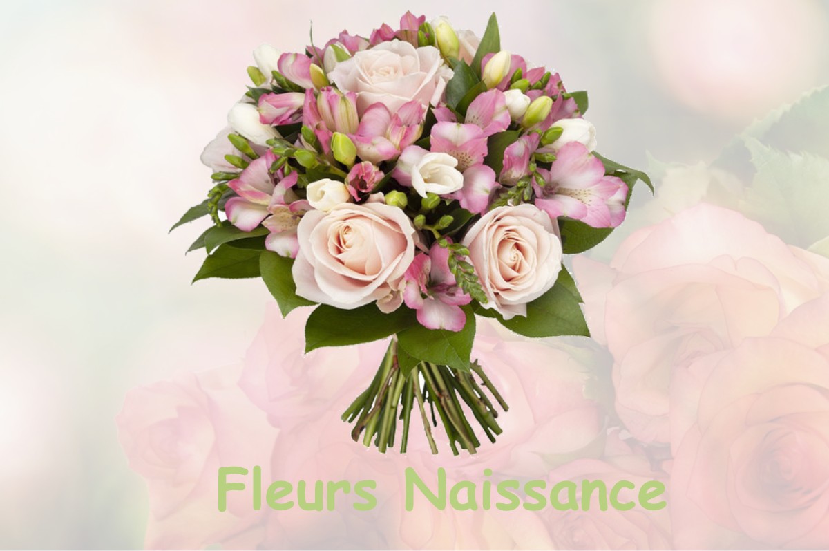 fleurs naissance NOGENT-SUR-VERNISSON