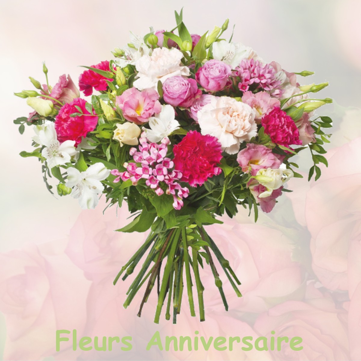 fleurs anniversaire NOGENT-SUR-VERNISSON
