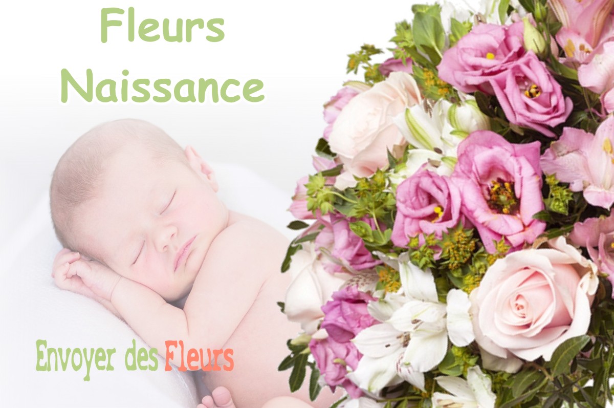 lIVRAISON FLEURS NAISSANCE à NOGENT-SUR-VERNISSON